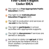 IDEA Parent Guide