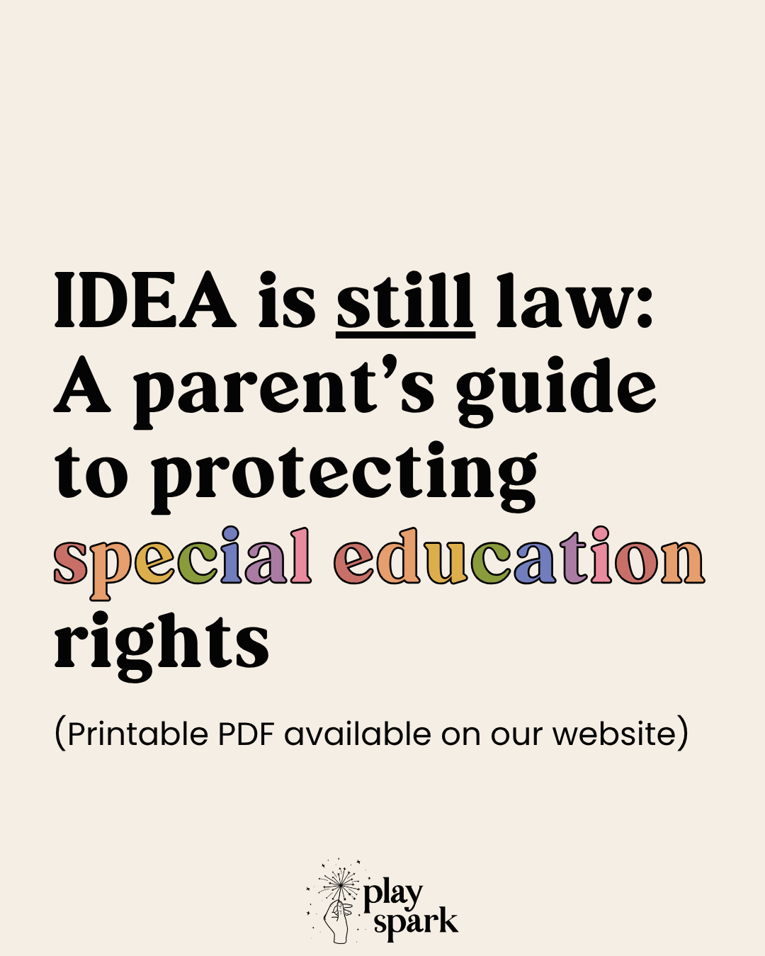 Text on a white background about IDEA and special education rights with Play Spark logo.