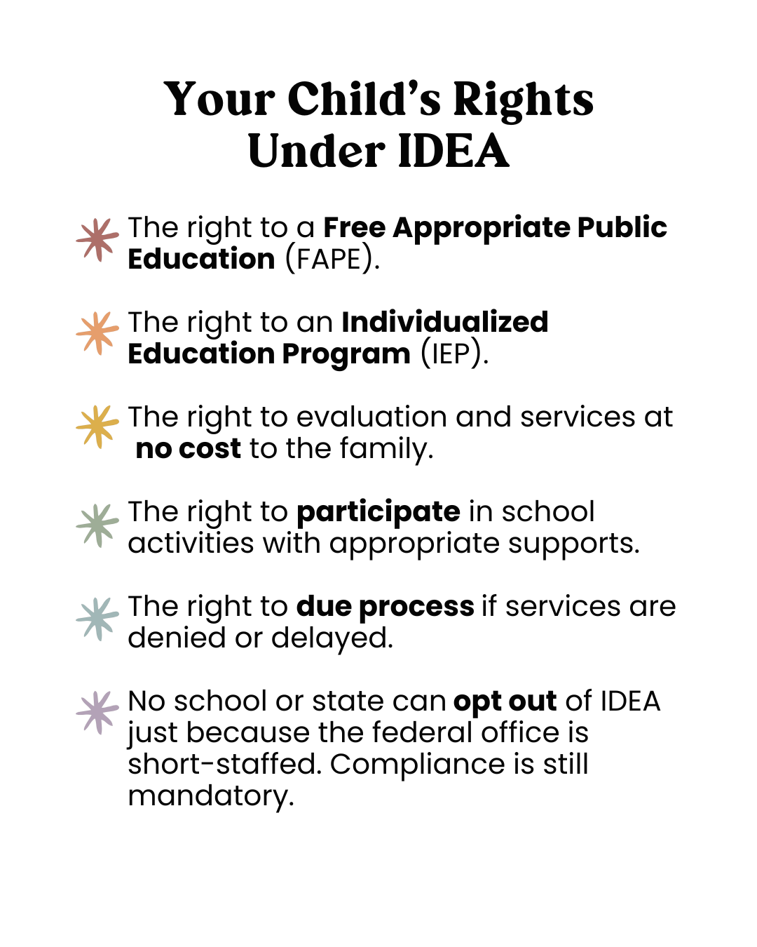 List of a child's rights under IDEA on a white background