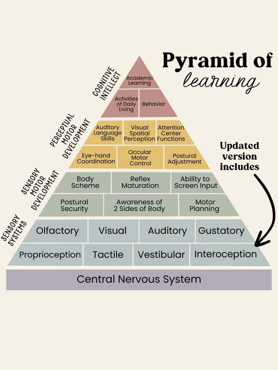 A diagram titled 'Pyramid of Learning' with five layered sections detailing various aspects of learning and development. The base emphasizes Sensory Systems, while upper layers focus on Cognitive Intellect and Academic Learning. An arrow indicates an updated version.